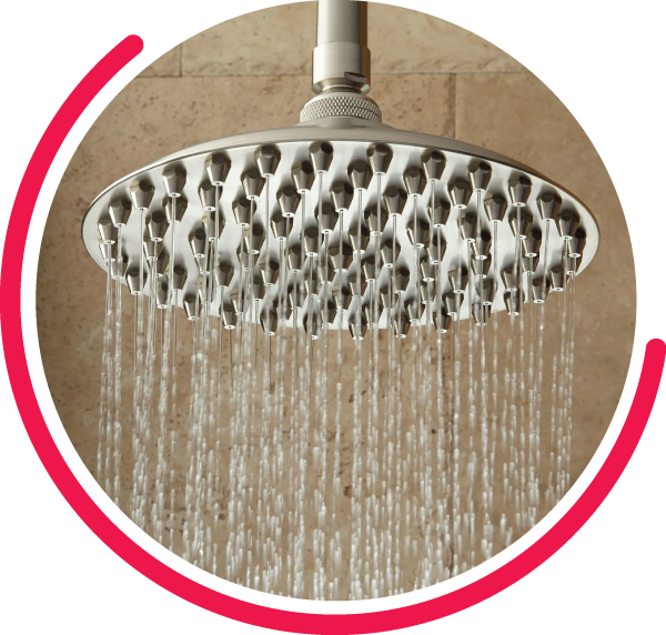 SHOWER ROSES